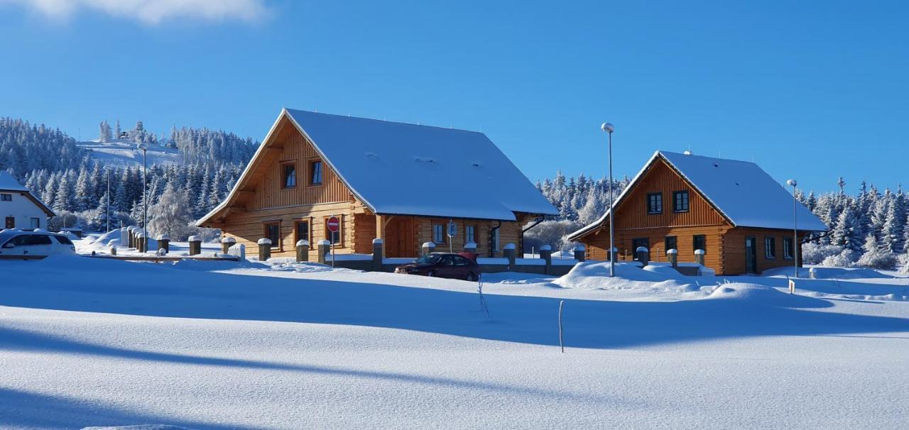 Apartmany Plesivec Abertamy Exterior foto