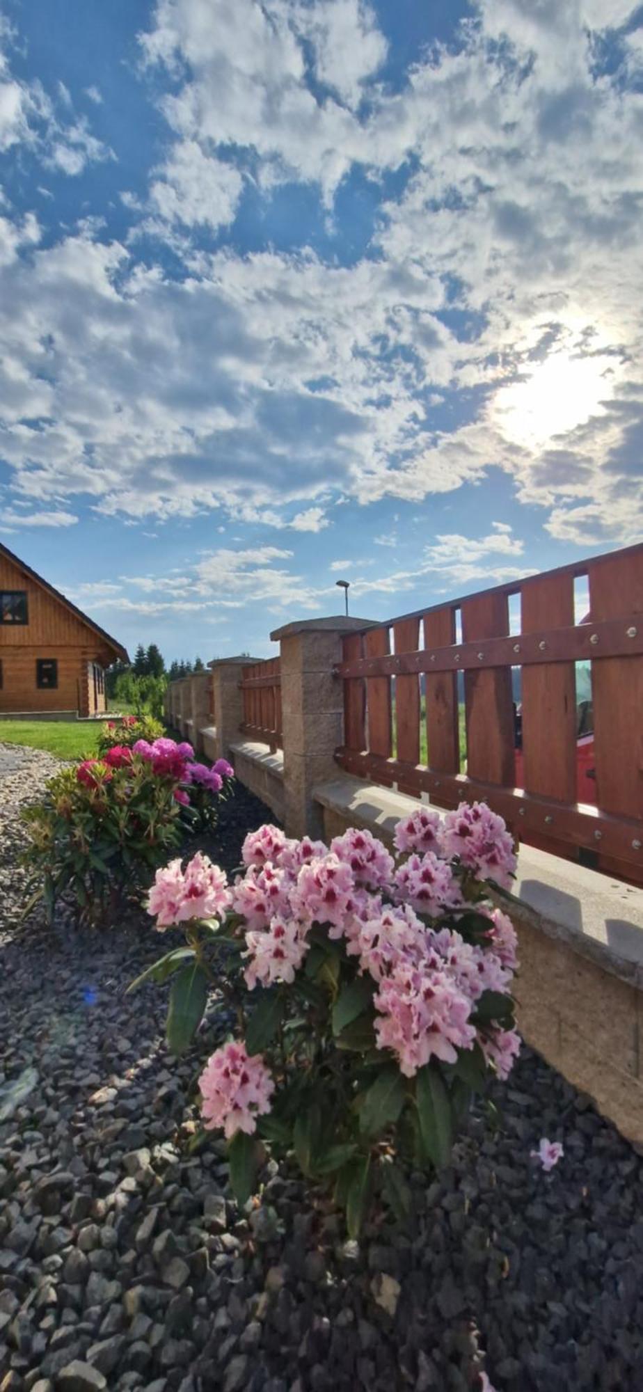 Apartmany Plesivec Abertamy Exterior foto